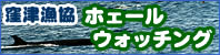 窪津漁協ホエールウォッチング