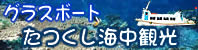 龙串海中观光