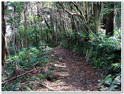 Ashizuri pilgrim way