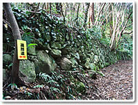 Ashizuri pilgrim way