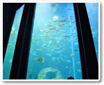 Kochi Prefectural Ashizuri Kaiyokan Aquarium