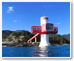 Ashizuri Underwater Observation Tower
