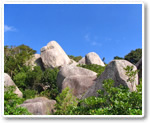 唐人馱場遺跡