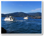 Tatsukushi Marine Park Glass-bottom Boat