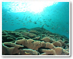 Tatsukushi National Marine Park